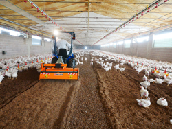 shatter milling machine mixture facing bedding for poultry farms pavo 140