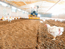 shatter milling machine mixture facing bedding for poultry farms pavo 160