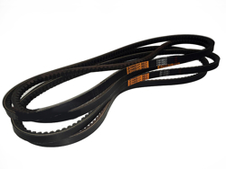 4 belts lince volpe