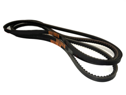 3 belts int