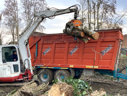 log grapple with fixed pendulum rotator for minidiggers and forest cranes dk 16 gr 30f