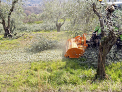 adjustable sideshift mower for tractors shredder mulcher mod gepard 150