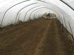 fresa enterra pedra con rolo para cultivo e preparacao da terra mod dfu 160